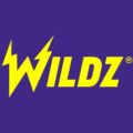 Wildz Casino Alternative